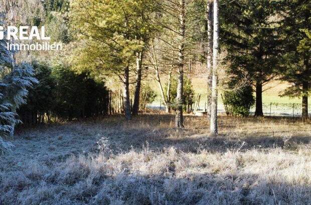 Grundstück kaufen in 3172 Ramsau (Bild 4)