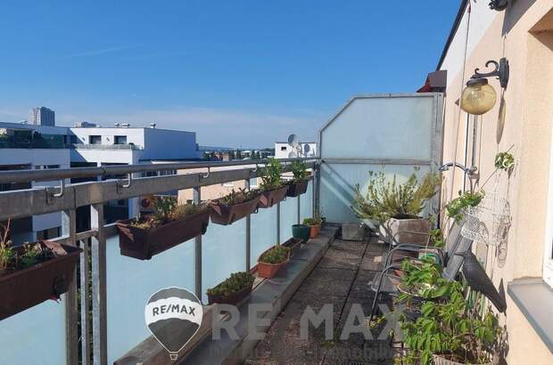 Terrassenwohnung mieten in 1220 Wien (Bild 5)