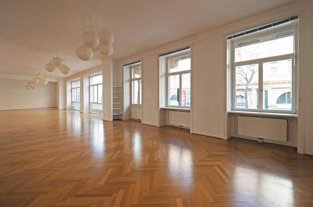 Gewerbeobjekt mieten in 1060 Wien (Bild 3)