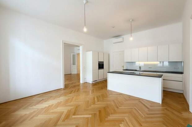 Altbauwohnung mieten in 1010 Wien (Bild 1)