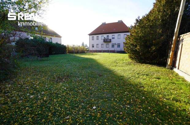 Terrassenwohnung kaufen in 2225 Zistersdorf (Bild 5)