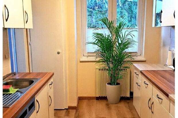 Terrassenwohnung kaufen in 2500 Baden (Bild 1)