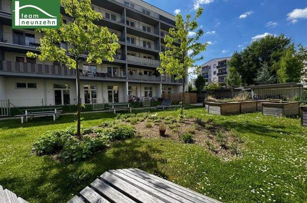 Terrassenwohnung mieten in 8020 Graz (Bild 1)