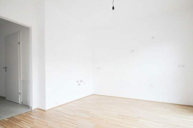 Eigentumswohnung in 2680 Steinhaus (Bild 5)