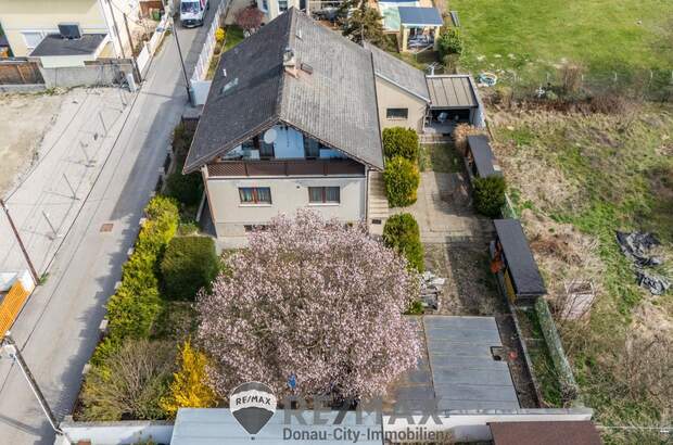 Einfamilienhaus kaufen in 1220 Wien (Bild 1)