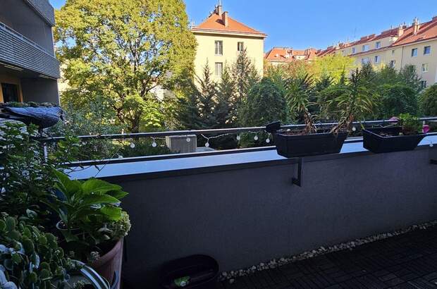 Wohnung mieten in 1100 Wien (Bild 5)