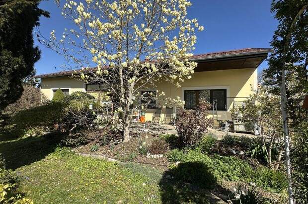 Haus kaufen in 7202 Bad Sauerbrunn (Bild 1)