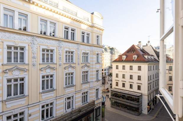 Gewerbeobjekt mieten in 1010 Wien (Bild 3)