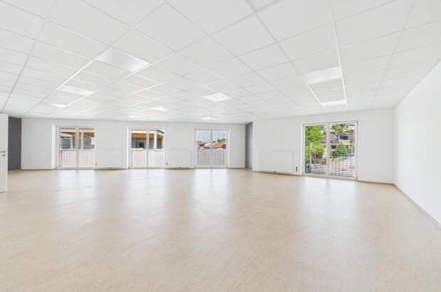 Büro / Praxis mieten in 4221 Steyregg (Bild 1)