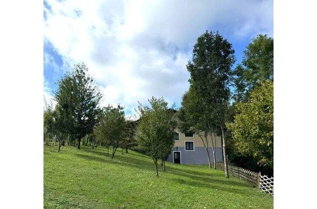 Einfamilienhaus kaufen in 4072 Alkoven (Bild 4)