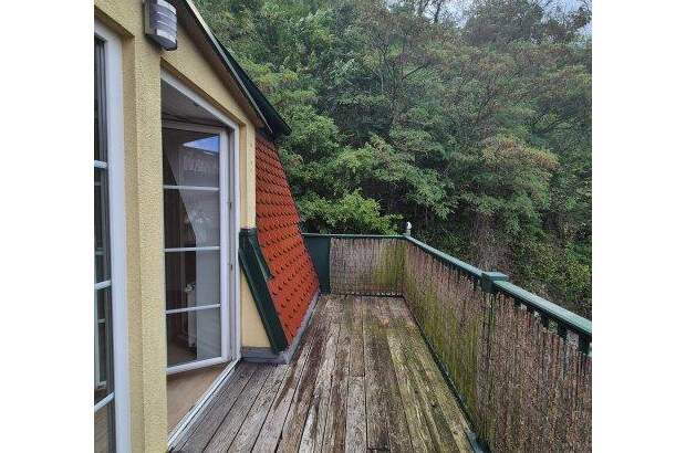 Terrassenwohnung mieten in 2823 Pitten (Bild 5)
