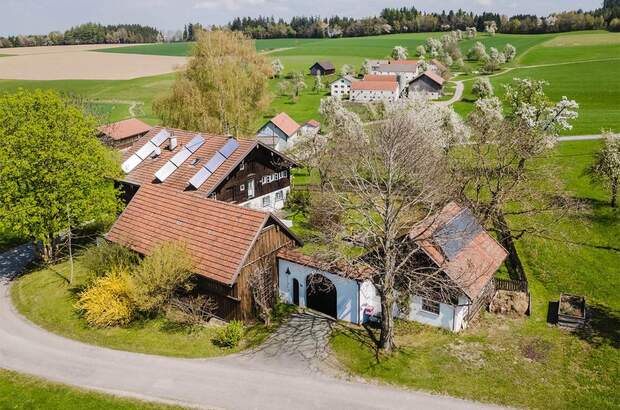 Bauernhaus kaufen in 4941 Mehrnbach (Bild 1)