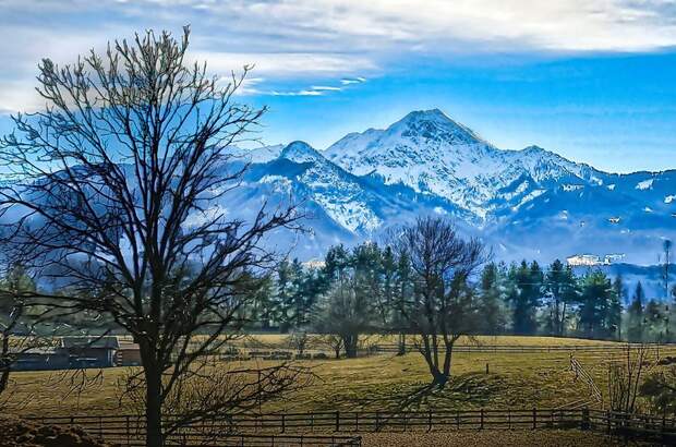 Grundstück kaufen in 9241 Wernberg (Bild 1)