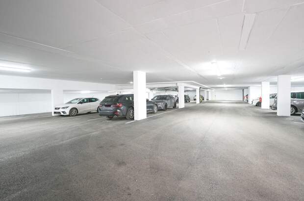 Immobilie mieten in 4600 Wels (Bild 2)