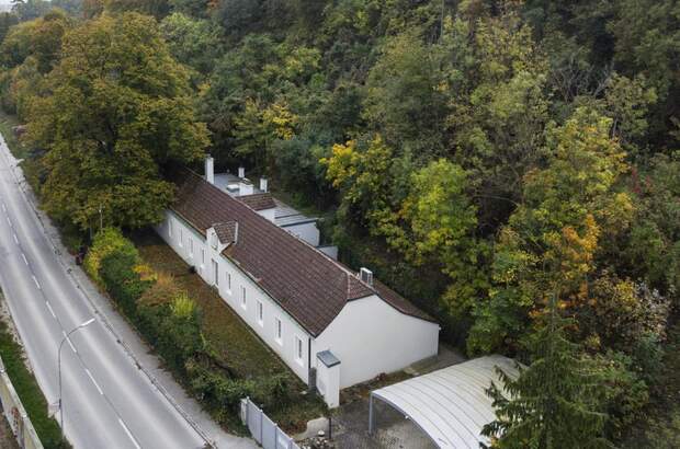 Einfamilienhaus kaufen in 3421 Höflein (Bild 5)