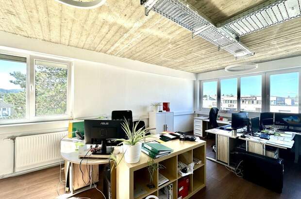 Gewerbeobjekt mieten in 2345 Brunn (Bild 4)