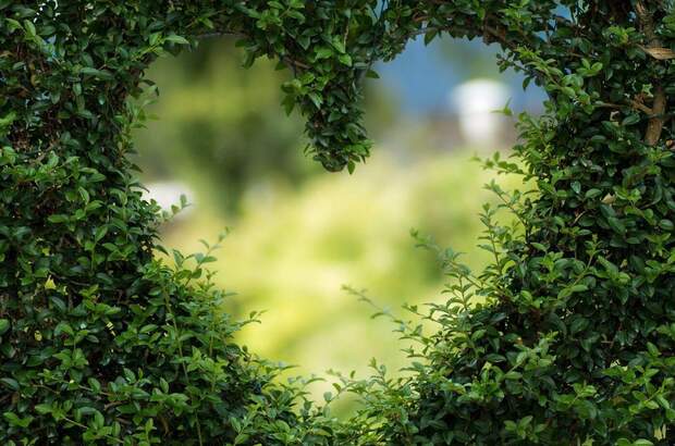 Wohnung mieten in 8444 Sankt Andrä