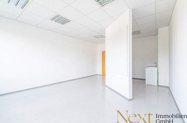Büro / Praxis mieten in 4600 Wels (Bild 4)