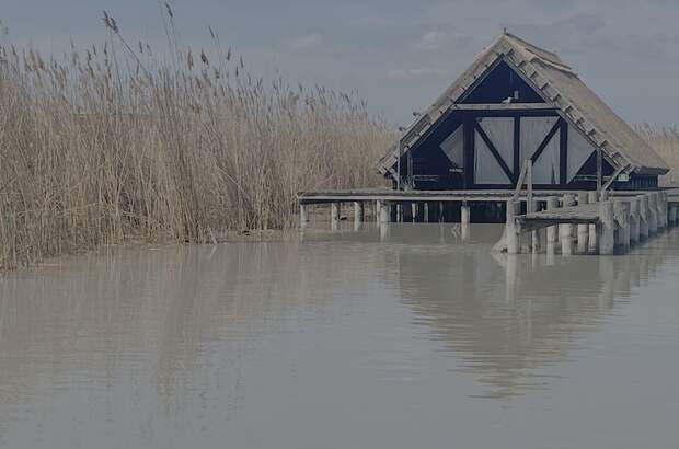 Haus kaufen in 7071 Rust (Bild 2)