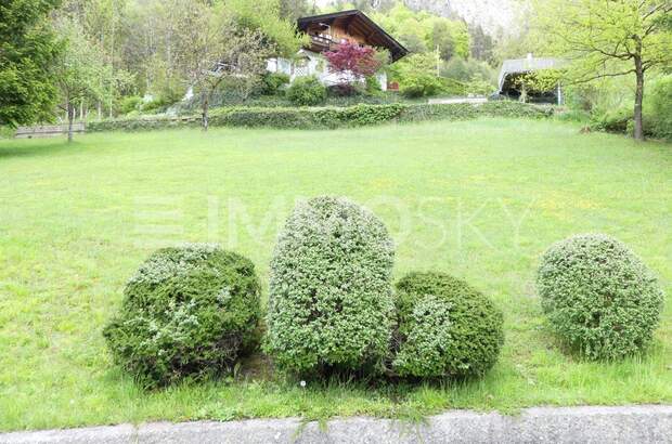 Grundstück kaufen in 5440 Scheffau (Bild 3)