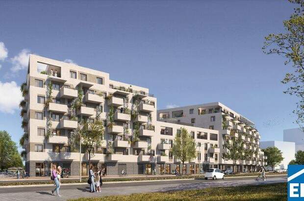 Terrassenwohnung mieten in 1220 Wien (Bild 5)