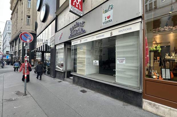 Gewerbeobjekt mieten in 1010 Wien (Bild 1)