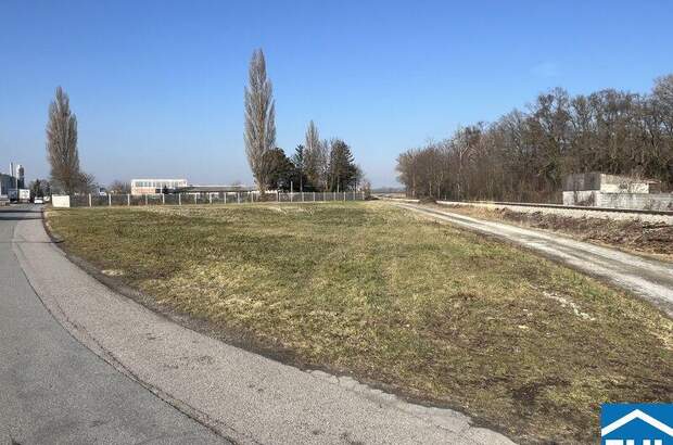 Lager kaufen in 2433 Margarethen (Bild 4)