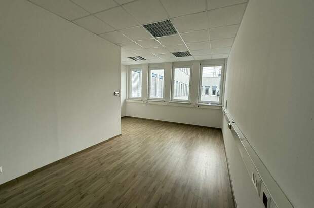 Büro / Praxis mieten in 2351 Wr. Neudorf (Bild 4)