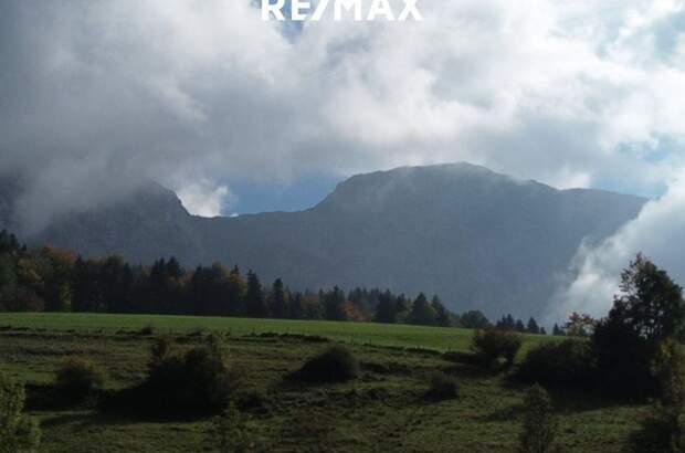 Grundstück kaufen in 4853 Steinbach (Bild 2)