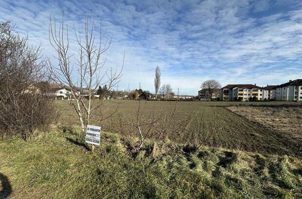 Grundstück kaufen in 7202 Bad Sauerbrunn (Bild 2)