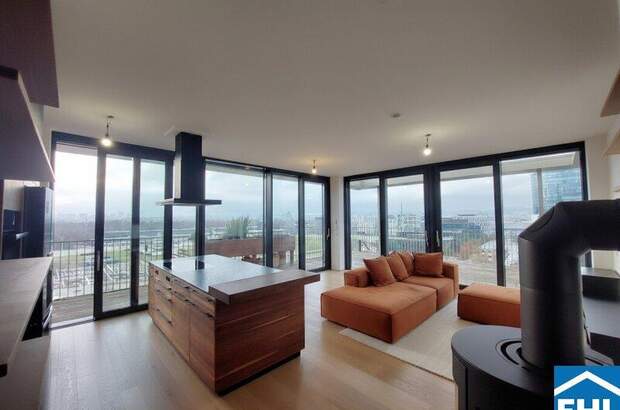 Terrassenwohnung mieten in 1020 Wien (Bild 2)