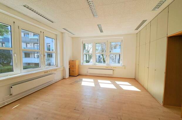 Gewerbeobjekt mieten in 1230 Wien (Bild 5)