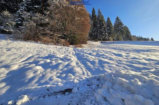Grundstück kaufen in 6311 Oberau (Bild 2)