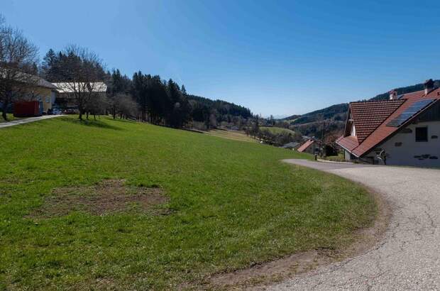 Grundstück kaufen in 4202 Kirchschlag (Bild 3)