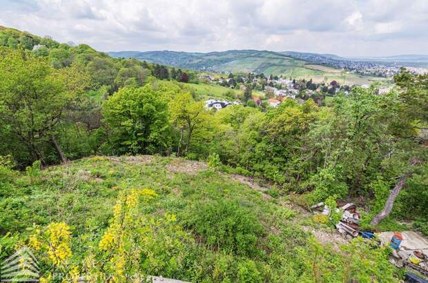 Grundstück kaufen in 3400 Klosterneuburg (Bild 4)