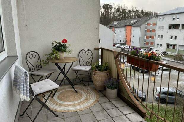 Terrassenwohnung mieten in 4470 Enns (Bild 4)
