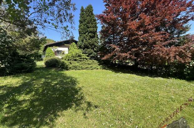 Einfamilienhaus kaufen in 2113 Karnabrunn (Bild 5)