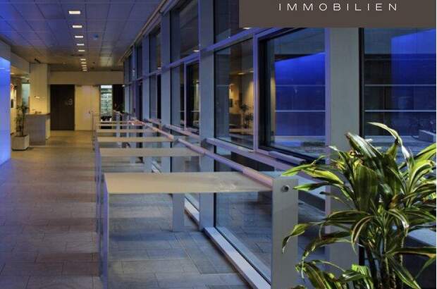Büro / Praxis mieten in 1120 Wien (Bild 3)