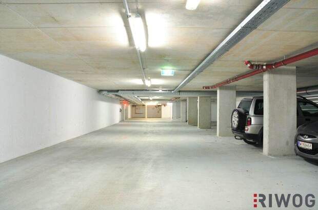 Halle / Lager / Produktion mieten in 1210 Wien (Bild 3)
