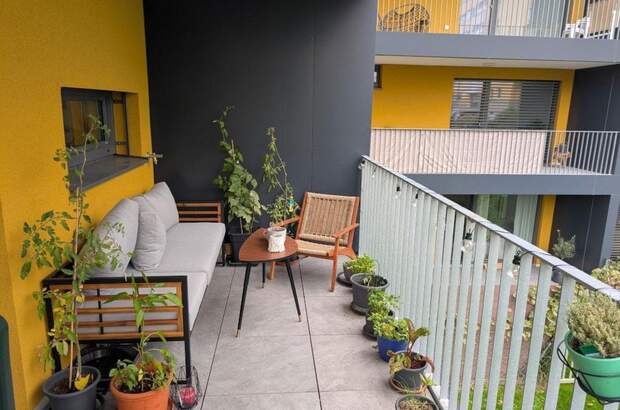 Terrassenwohnung mieten in 4040 Linz (Bild 1)