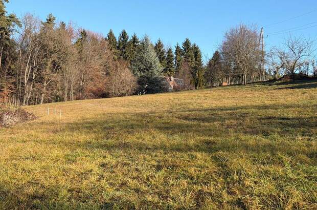 Grundstück kaufen in 8076 Vasoldsberg (Bild 3)