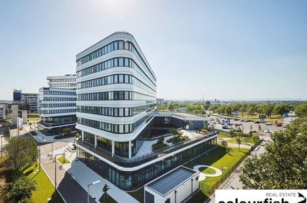 Gewerbeobjekt mieten in 1300 Schwechat (Bild 3)