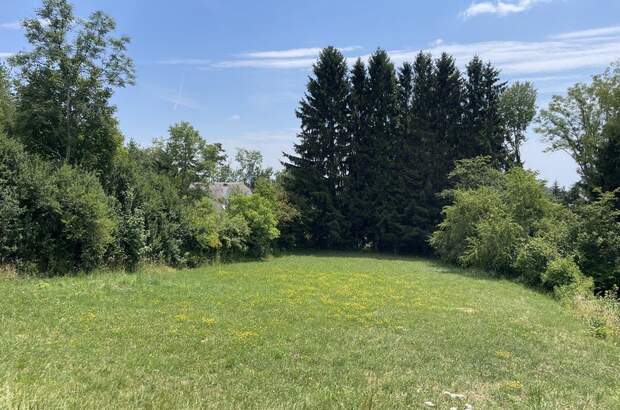 Grundstück kaufen in 8045 Weinitzen (Bild 3)