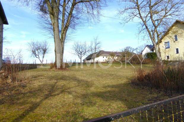 Grundstück kaufen in 4600 Wels (Bild 3)