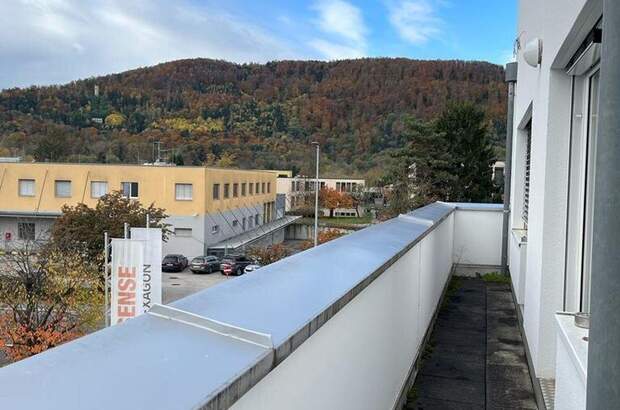 Gewerbeobjekt mieten in 8054 Graz (Bild 1)