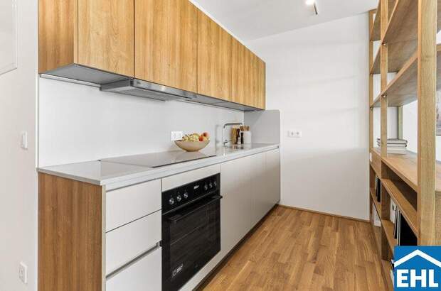 Terrassenwohnung mieten in 1200 Wien (Bild 4)