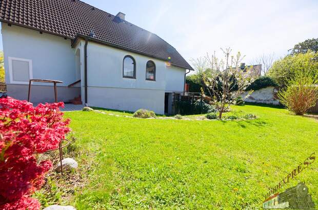 Einfamilienhaus kaufen in 2540 Bad Vöslau (Bild 4)