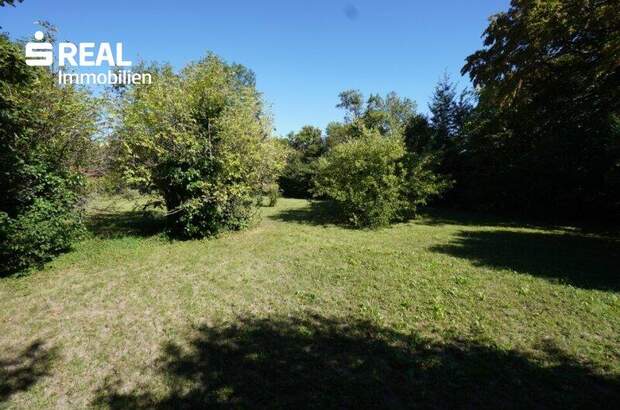 Grundstück kaufen in 2380 Perchtoldsdorf (Bild 2)