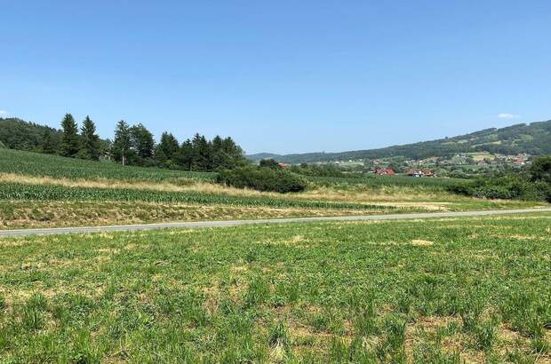 Grundstück kaufen in 8453 Sankt Johann (Bild 4)