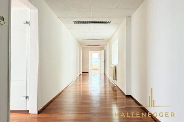 Gewerbeobjekt mieten in 1190 Wien (Bild 5)